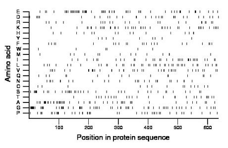 amino acid map