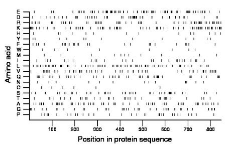 amino acid map