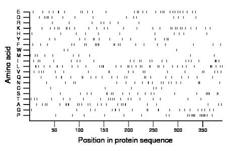 amino acid map