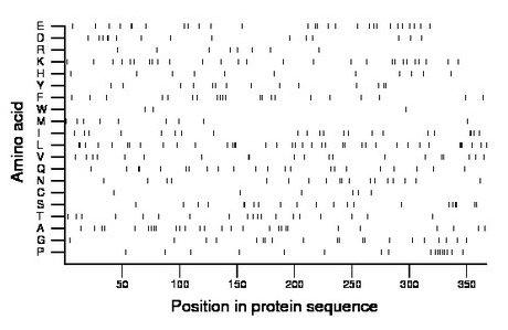 amino acid map