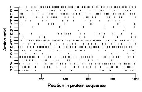 amino acid map