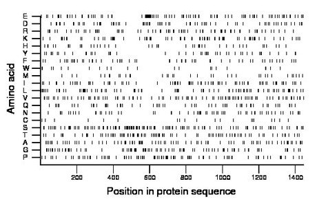 amino acid map