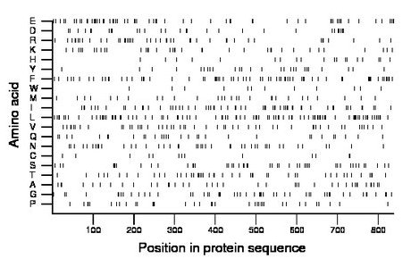 amino acid map