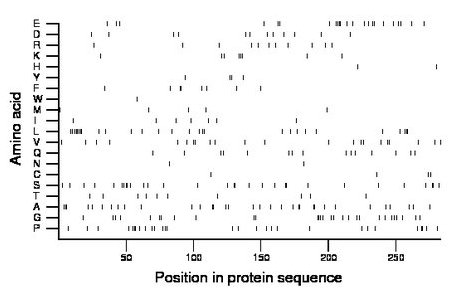 amino acid map