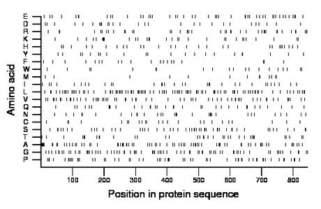 amino acid map