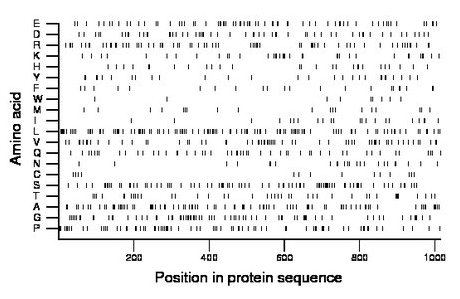 amino acid map