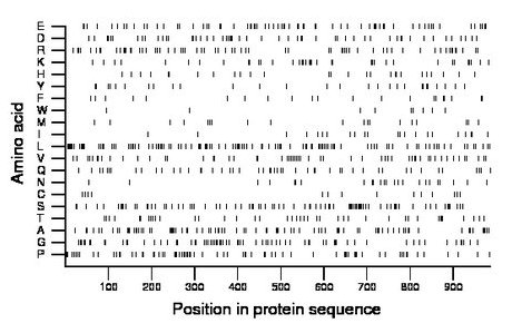 amino acid map