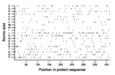 amino acid map