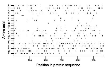 amino acid map