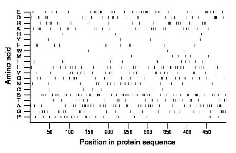 amino acid map