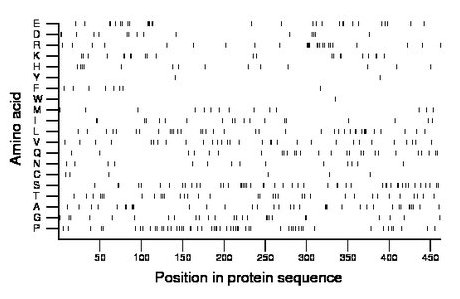 amino acid map