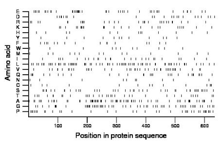 amino acid map