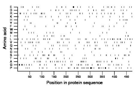 amino acid map