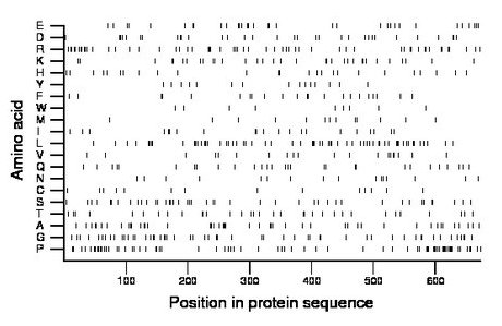 amino acid map