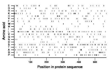 amino acid map