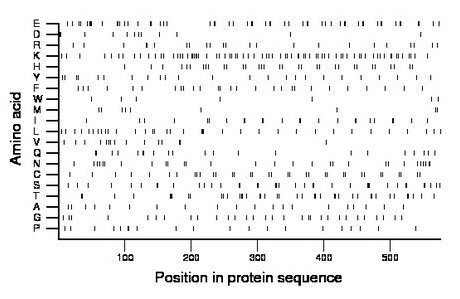 amino acid map