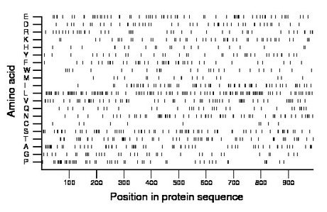 amino acid map