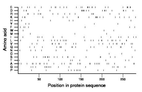 amino acid map