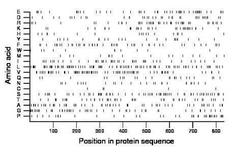 amino acid map