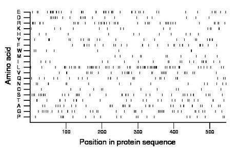 amino acid map