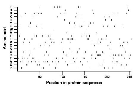 amino acid map