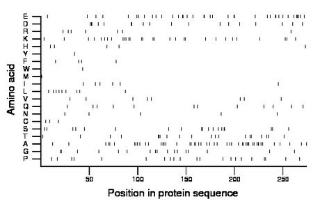 amino acid map