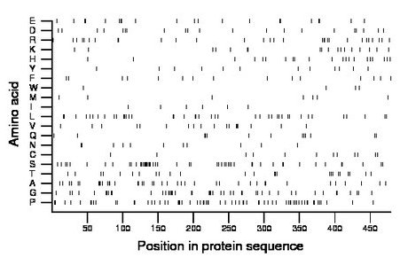 amino acid map