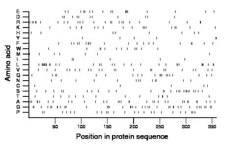 amino acid map