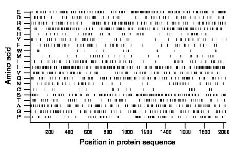 amino acid map