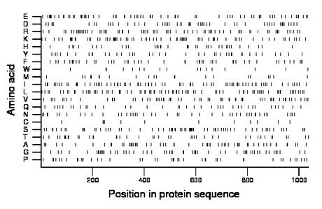 amino acid map