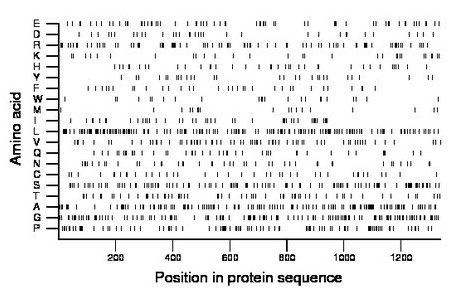 amino acid map