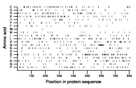 amino acid map