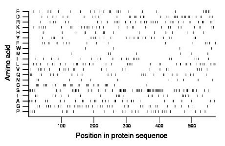 amino acid map