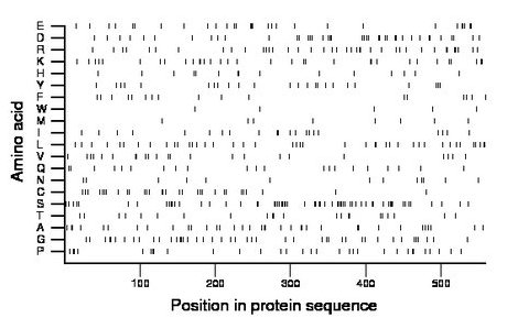 amino acid map