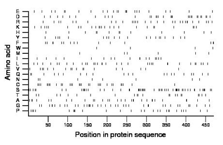 amino acid map