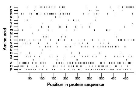 amino acid map