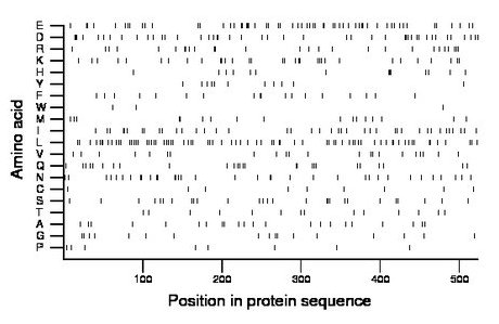 amino acid map