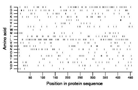 amino acid map