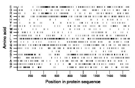 amino acid map