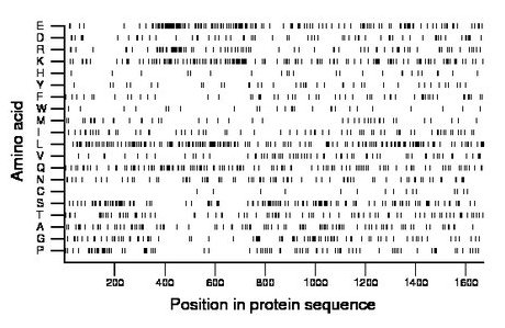 amino acid map