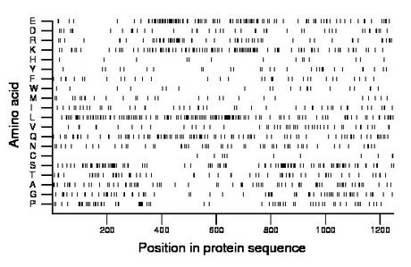 amino acid map