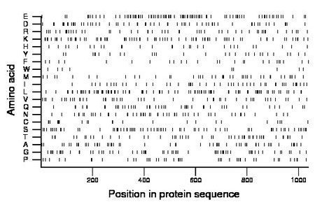 amino acid map