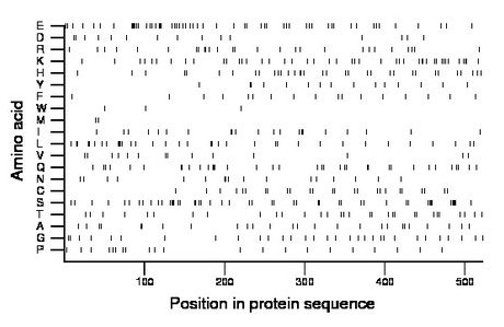 amino acid map