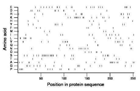 amino acid map