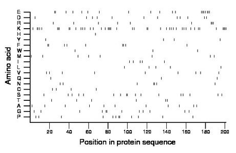 amino acid map