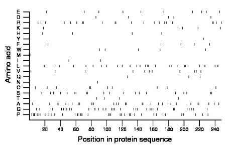 amino acid map