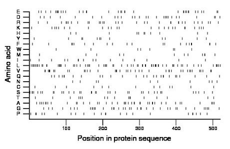 amino acid map