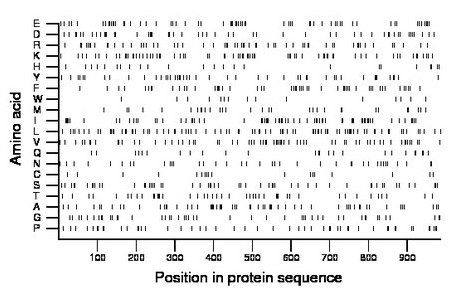 amino acid map