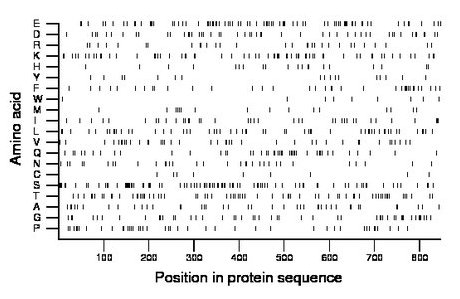 amino acid map