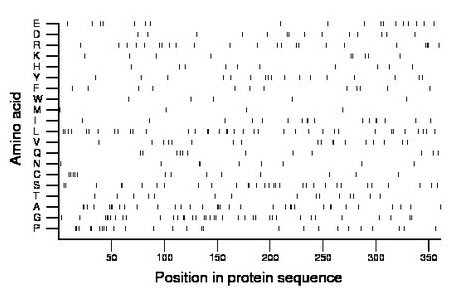 amino acid map